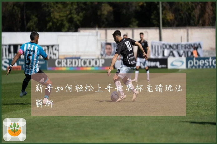 新手如何轻松上手世界杯竞猜玩法解析
