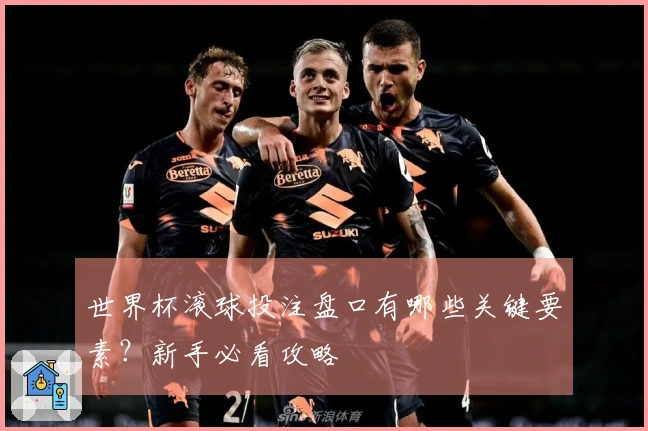 世界杯滚球投注盘口有哪些关键要素？新手必看攻略
