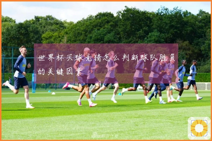 世界杯买球竞猜怎么判断球队胜负的关键因素