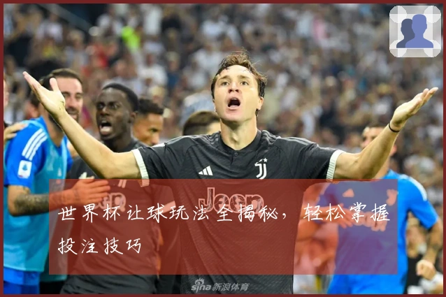 世界杯让球玩法全揭秘，轻松掌握投注技巧