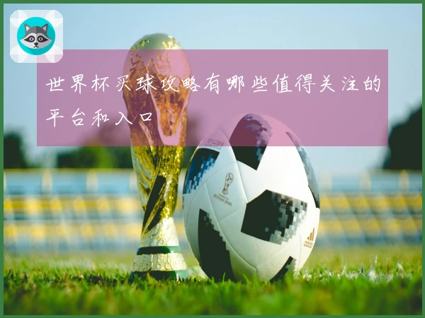 世界杯买球攻略有哪些值得关注的平台和入口