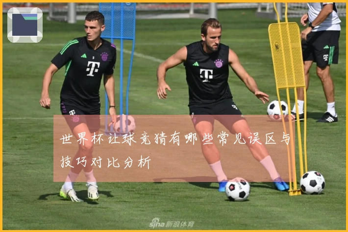 世界杯让球竞猜有哪些常见误区与技巧对比分析
