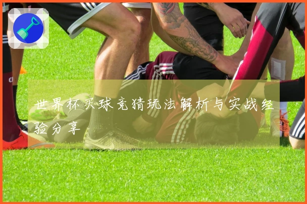 世界杯买球竞猜玩法解析与实战经验分享