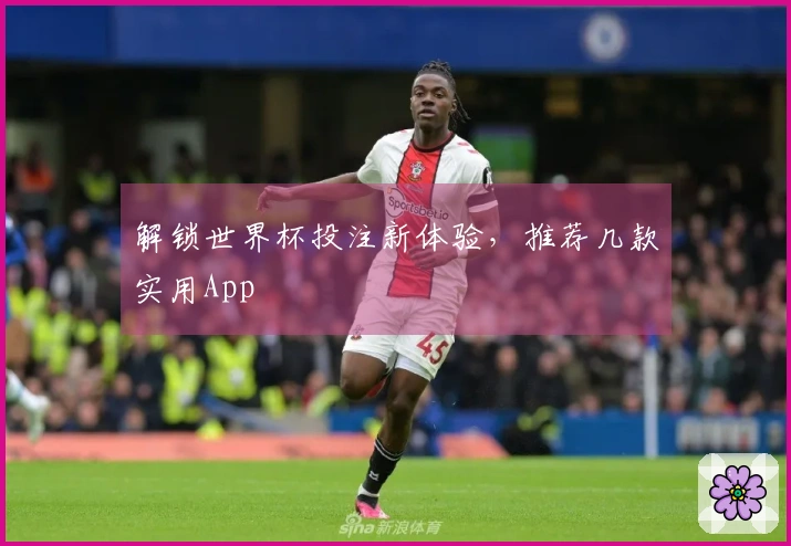 解锁世界杯投注新体验，推荐几款实用App