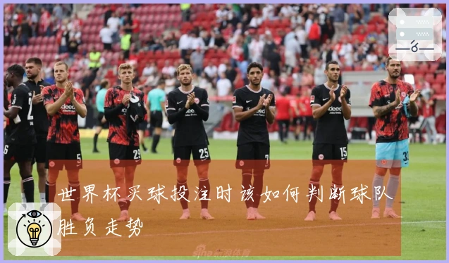 世界杯买球投注时该如何判断球队胜负走势