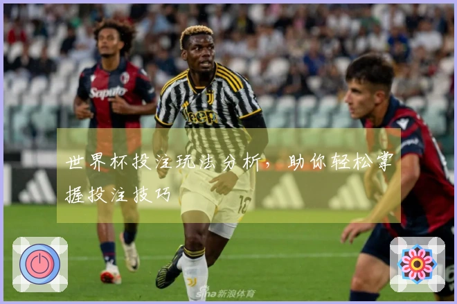 世界杯投注玩法分析，助你轻松掌握投注技巧