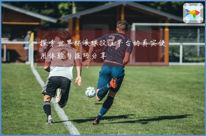 探索世界杯滚球投注平台的真实使用体验与技巧分享