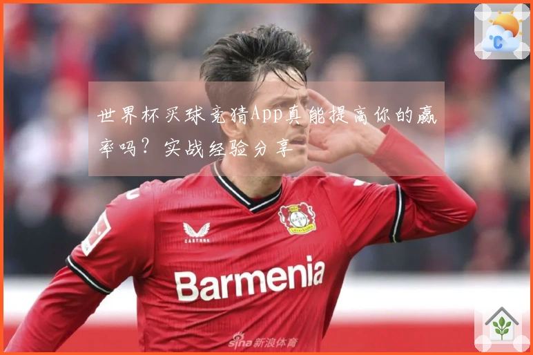 世界杯买球竞猜App真能提高你的赢率吗？实战经验分享