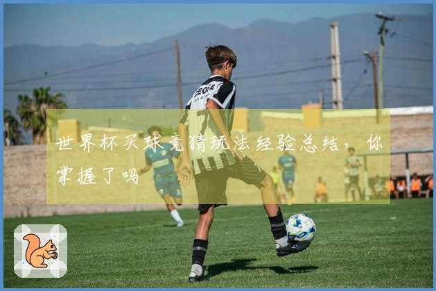 世界杯买球竞猜玩法经验总结，你掌握了吗