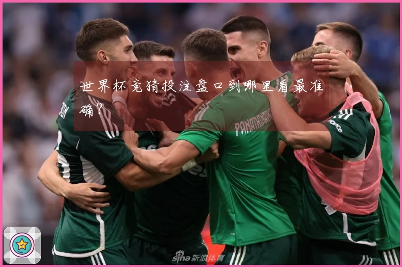 世界杯竞猜投注盘口到哪里看最准确？
