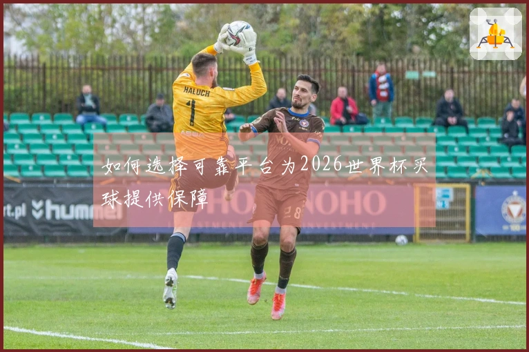 如何选择可靠平台为2026世界杯买球提供保障