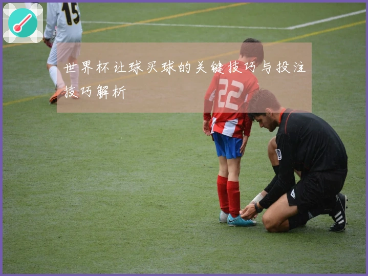 世界杯让球买球的关键技巧与投注技巧解析