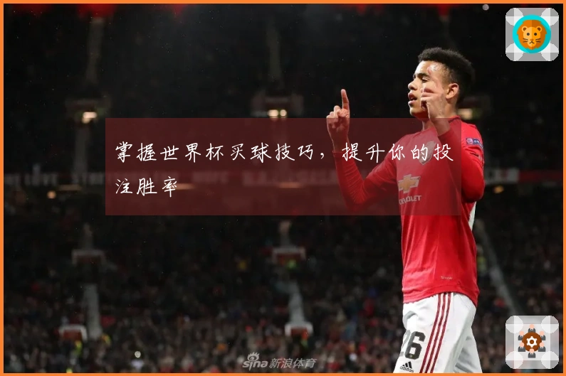 掌握世界杯买球技巧，提升你的投注胜率