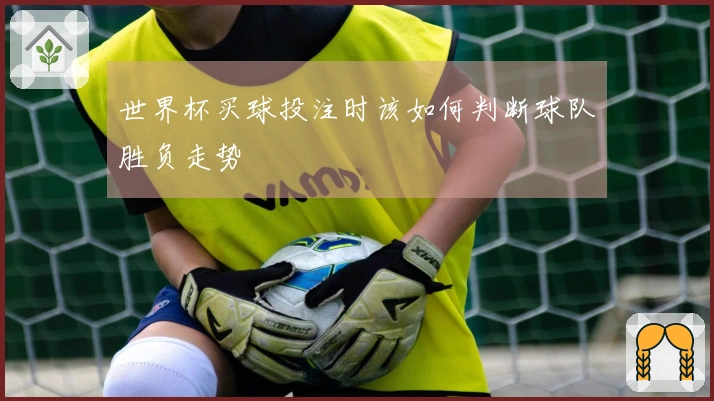 世界杯买球投注时该如何判断球队胜负走势