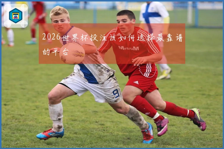 2026世界杯投注该如何选择最靠谱的平台