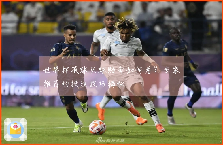 世界杯滚球买球赔率如何看？专家推荐的投注技巧揭秘