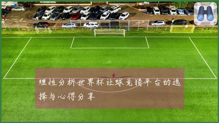 理性分析世界杯让球竞猜平台的选择与心得分享