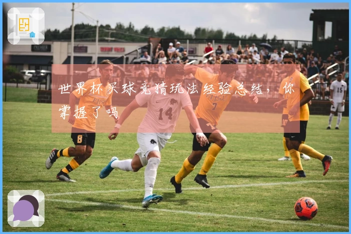 世界杯买球竞猜玩法经验总结，你掌握了吗
