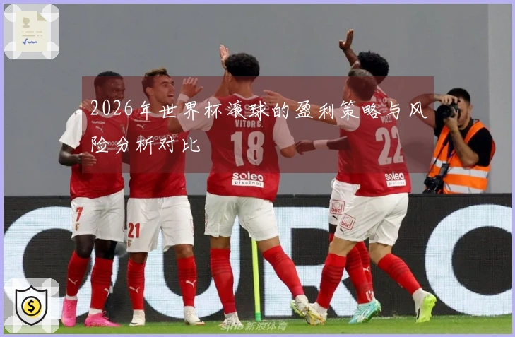 2026年世界杯滚球的盈利策略与风险分析对比