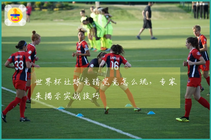 世界杯让球竞猜究竟怎么玩，专家来揭示实战技巧
