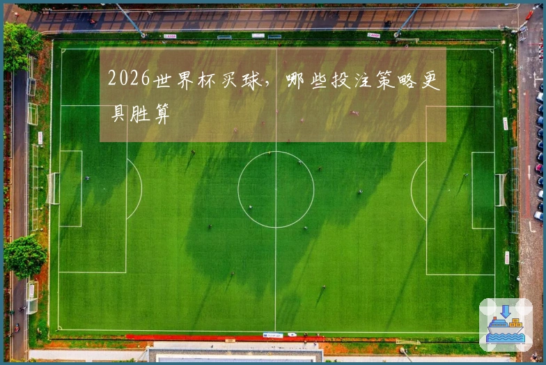 2026世界杯买球，哪些投注策略更具胜算